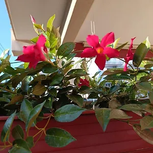 https://peppes-house.sicilyhotelsitaly.net